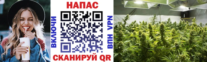omg как зайти  Асбест  Каннабис план  где найти  